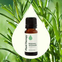 Plant Therapy rosemary oil diffuser setup to refresh rooms.
