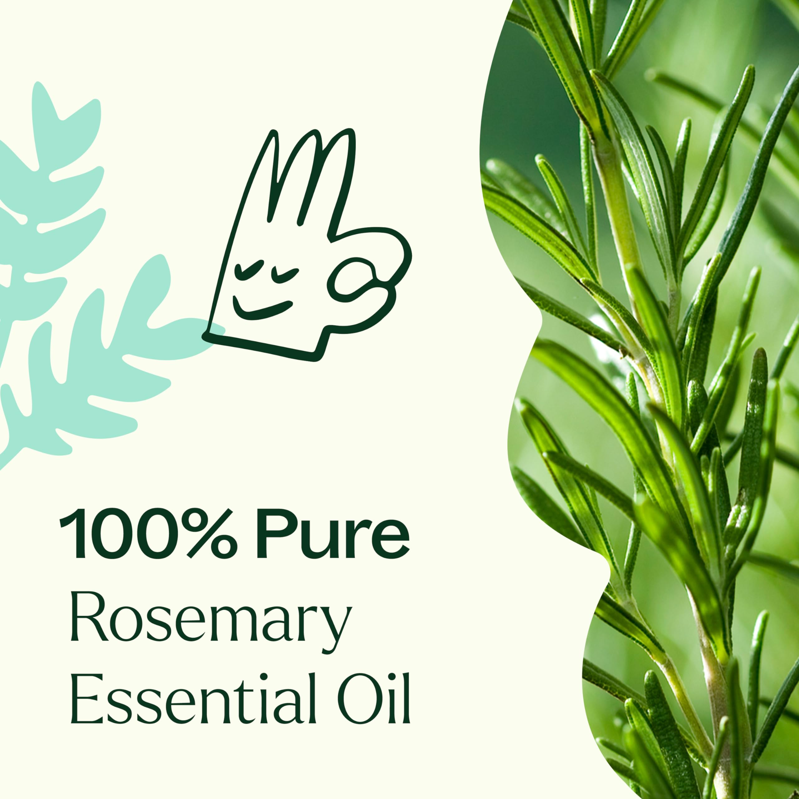 Plant Therapy rosemary oil label close-up shows purity.