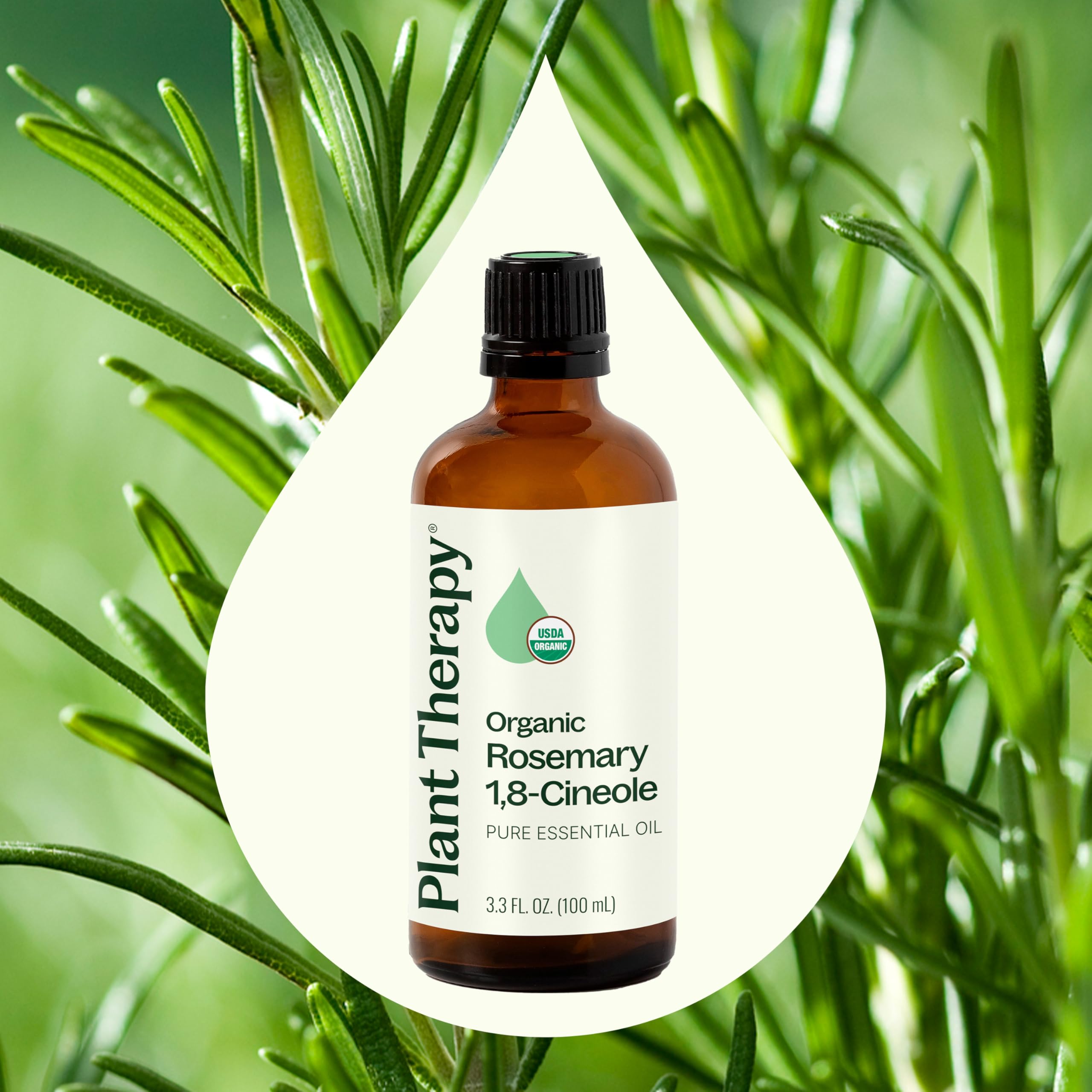 Plant Therapy rosemary oil added to shampoo for healthier hair routines.