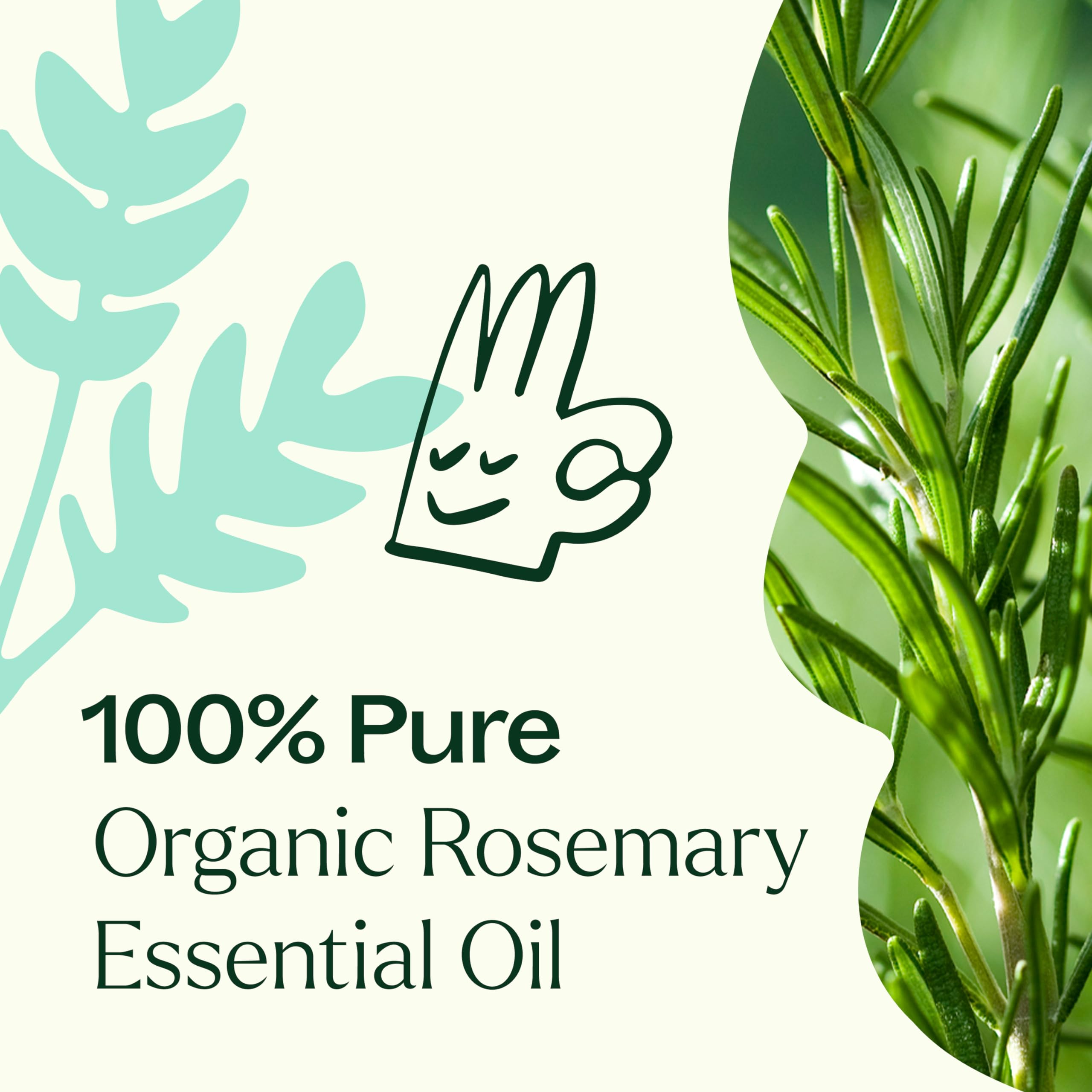 Plant Therapy rosemary oil on vanity beside skincare products.