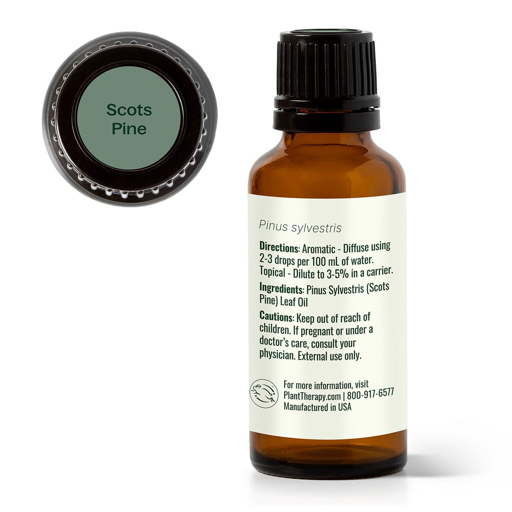 Relaxed room scene with Scots Pine aroma diffusion