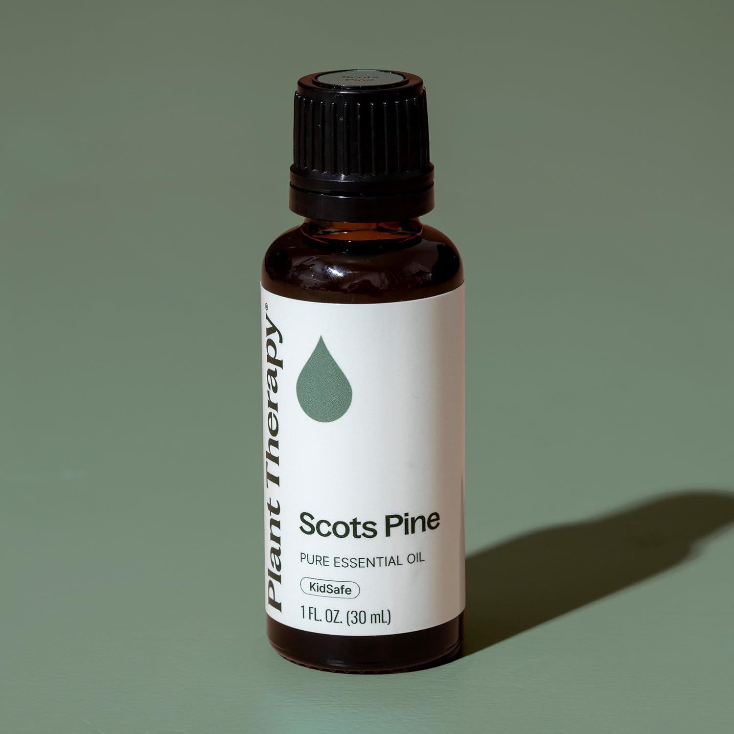 Plant Therapy Scots Pine packaging box shown