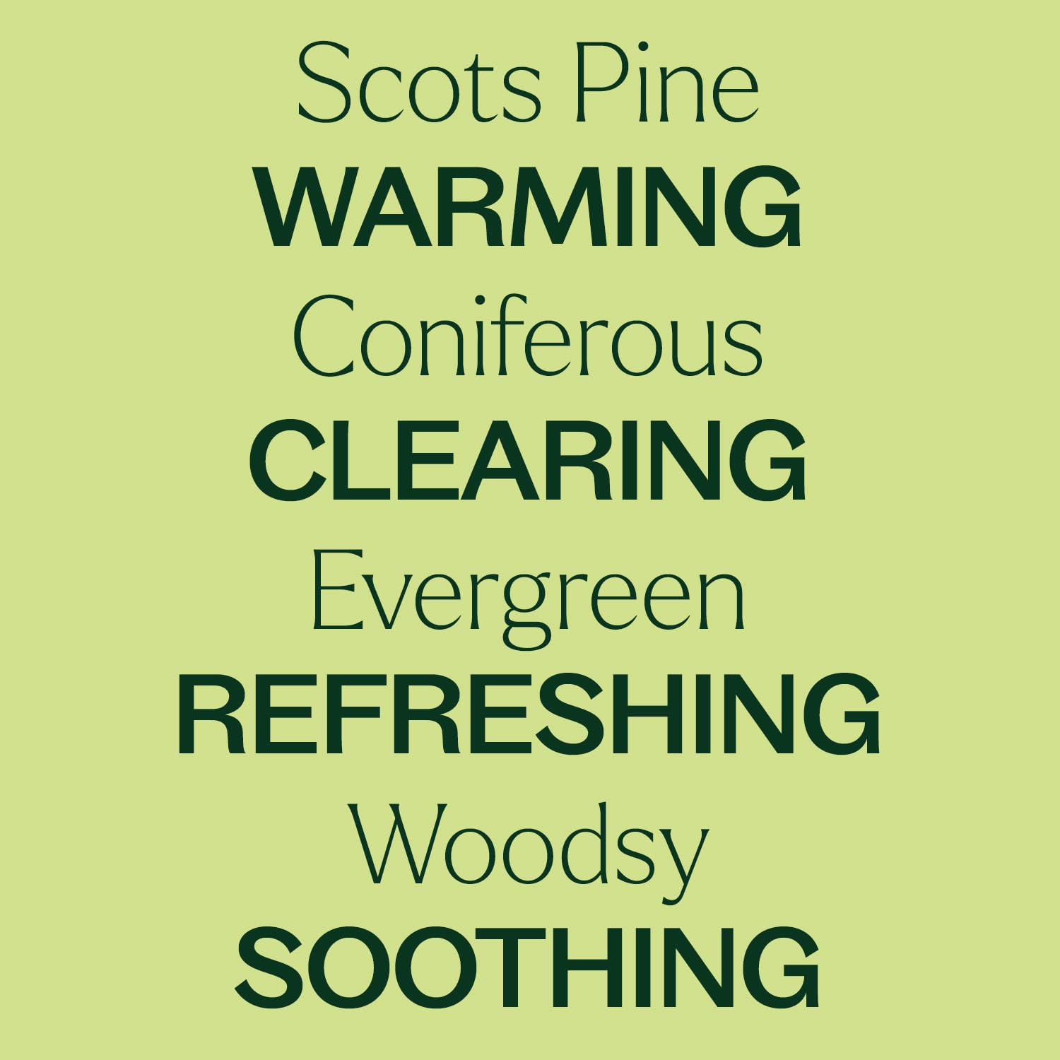 Close-up of Scots Pine oil with pine needles and scent