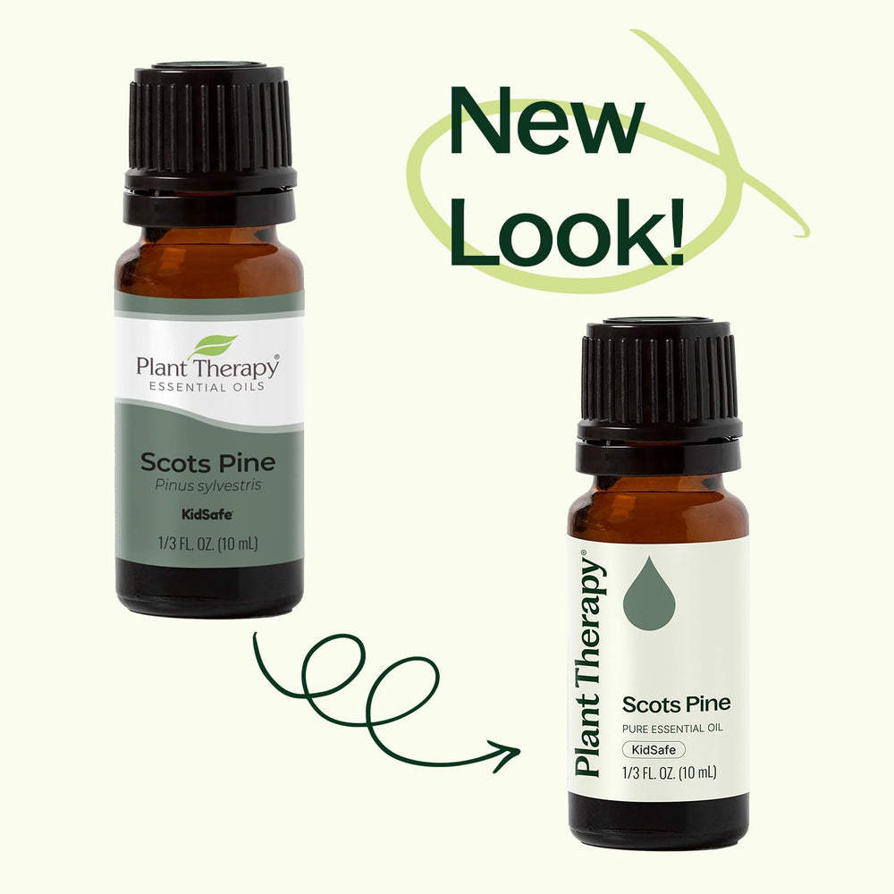 Scots Pine oil being blended with carrier oil for massage