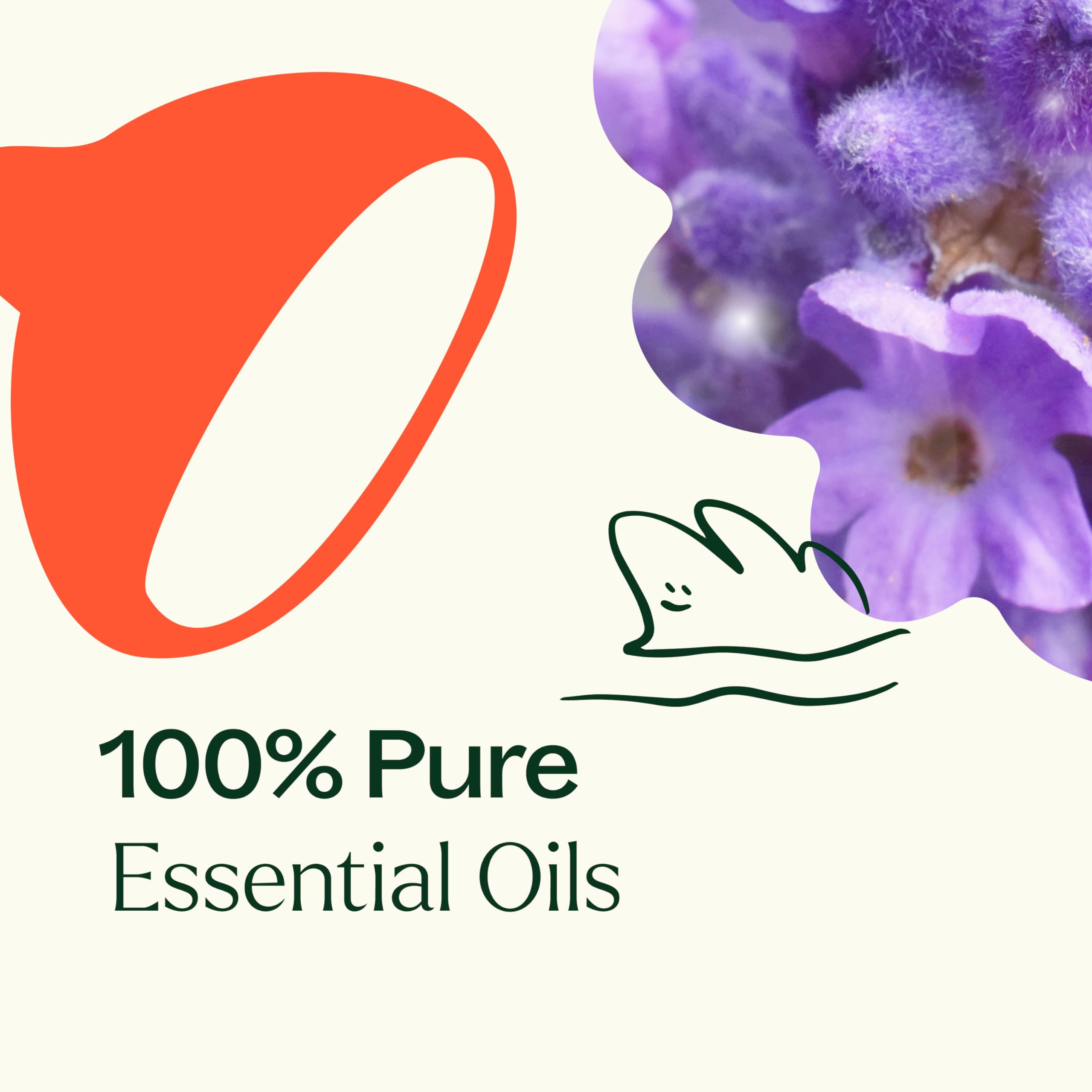 Plant Therapy Sensual ingredients closeup featuring ylang ylang and jasmine