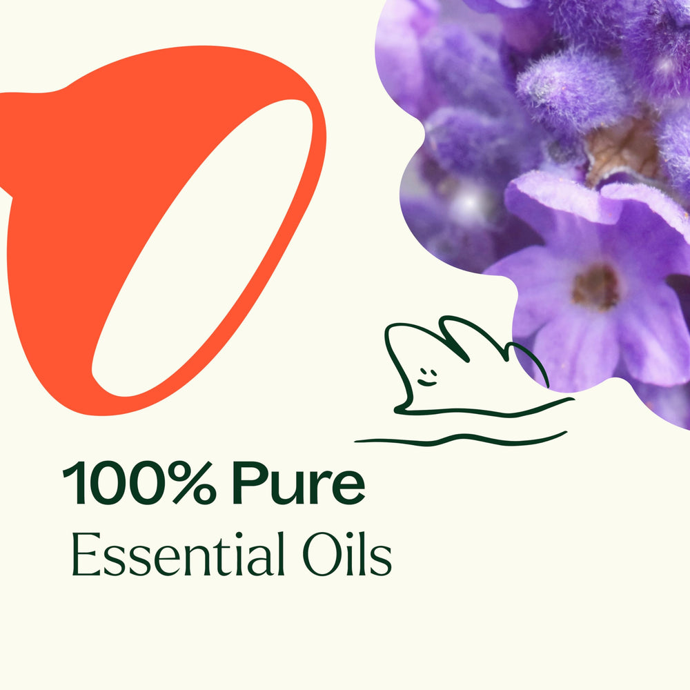 Plant Therapy Sensual ingredients closeup featuring ylang ylang and jasmine