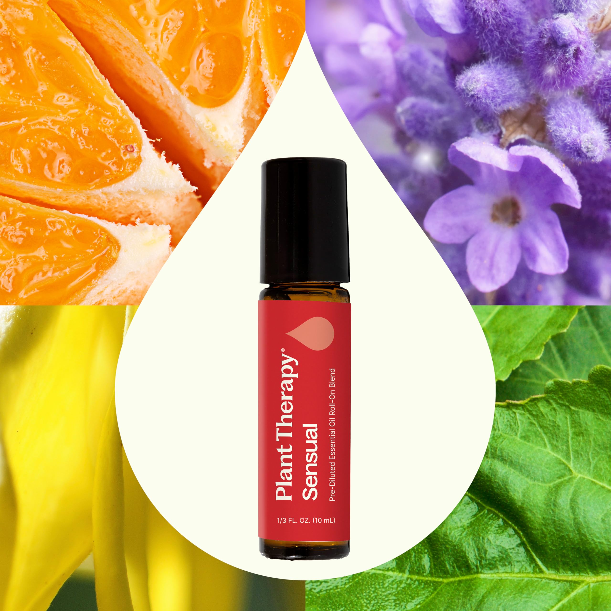 Plant Therapy Sensual massage oil prep for romantic moments