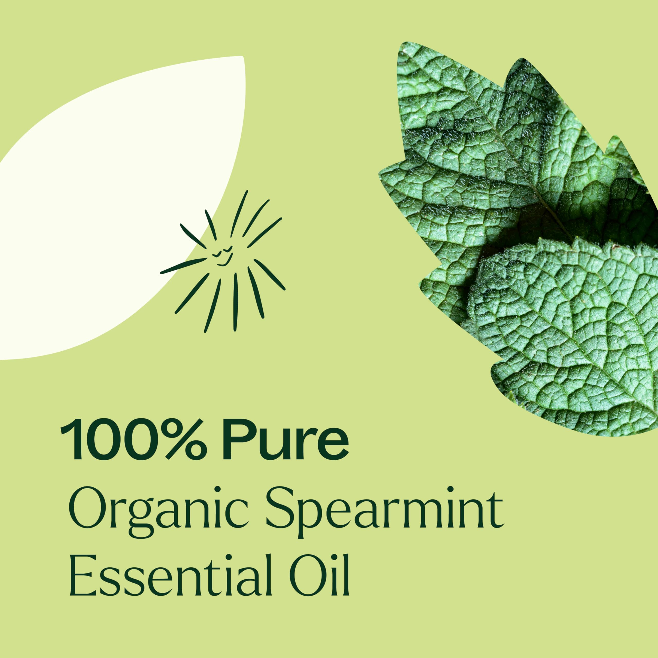 Plant Therapy Spearmint Oil leaves highlight the natural source