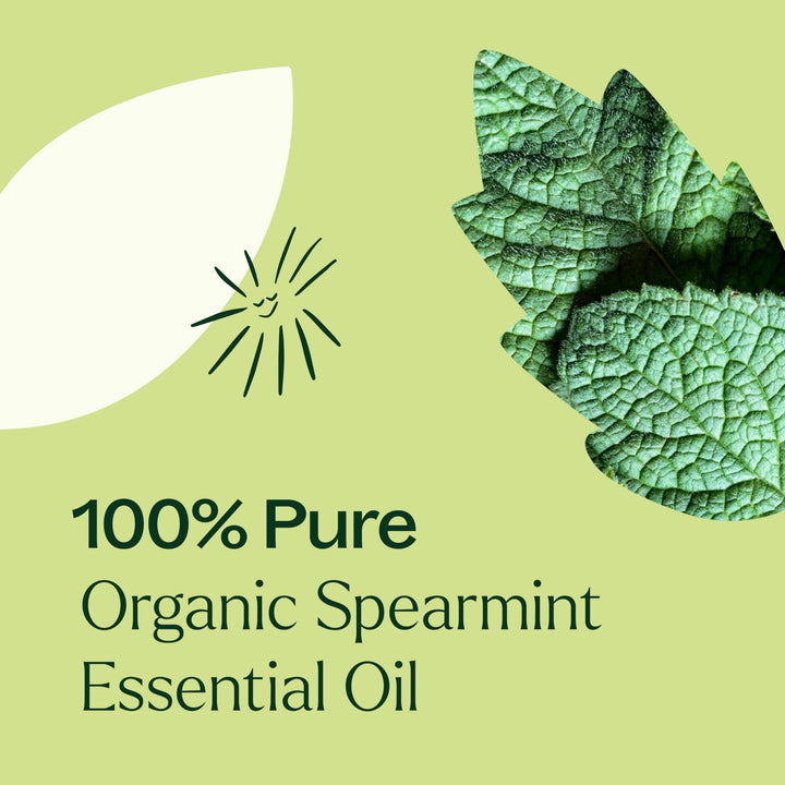 Plant Therapy Spearmint Oil leaves highlight the natural source