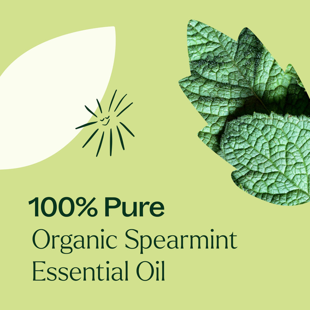 Plant Therapy Spearmint Oil leaves highlight the natural source