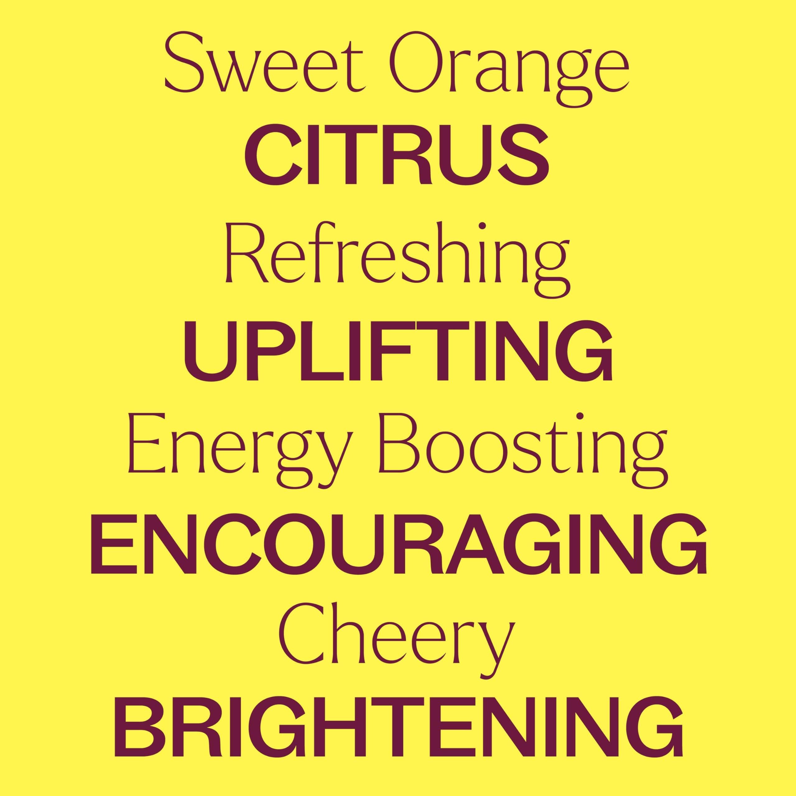 Diffuser with Plant Therapy Sweet Orange Organic oil creating a bright uplifting room scent