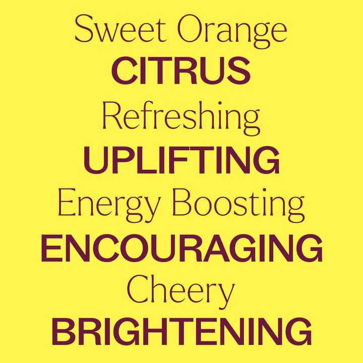 Diffuser with Plant Therapy Sweet Orange Organic oil creating a bright uplifting room scent