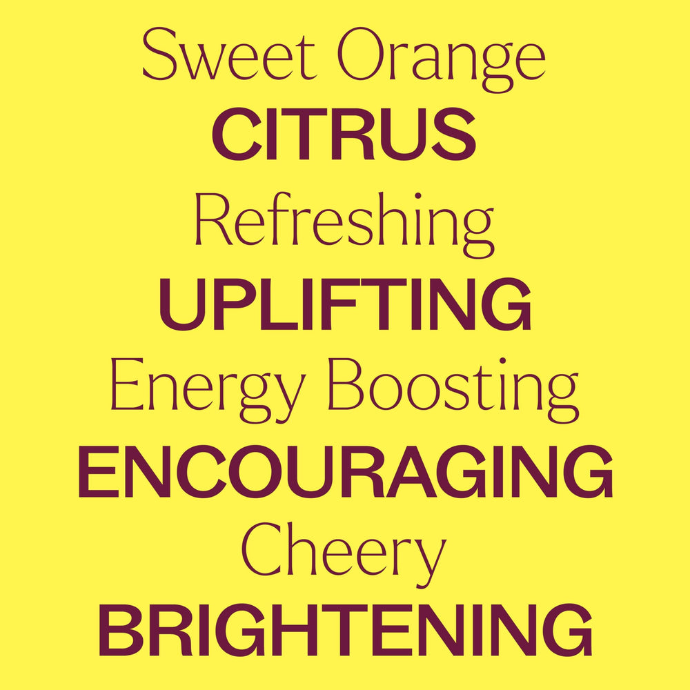 Diffuser with Plant Therapy Sweet Orange Organic oil creating a bright uplifting room scent