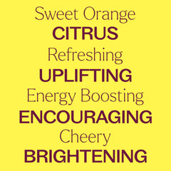Diffuser with Plant Therapy Sweet Orange Organic oil creating a bright uplifting room scent