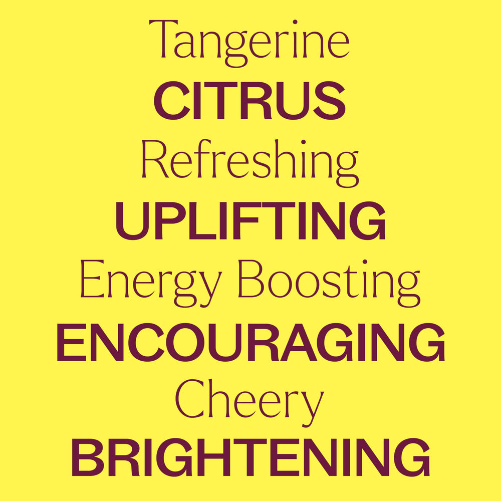 Plant Therapy Tangerine Essential Oil diffuser setup emphasizes uplifting citrus aroma for a refreshing mood