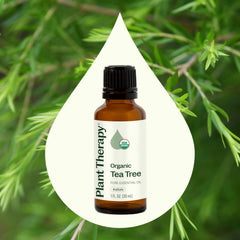 Plant Therapy Tea Tree Oil dropper demonstrates easy dilution and precise application.