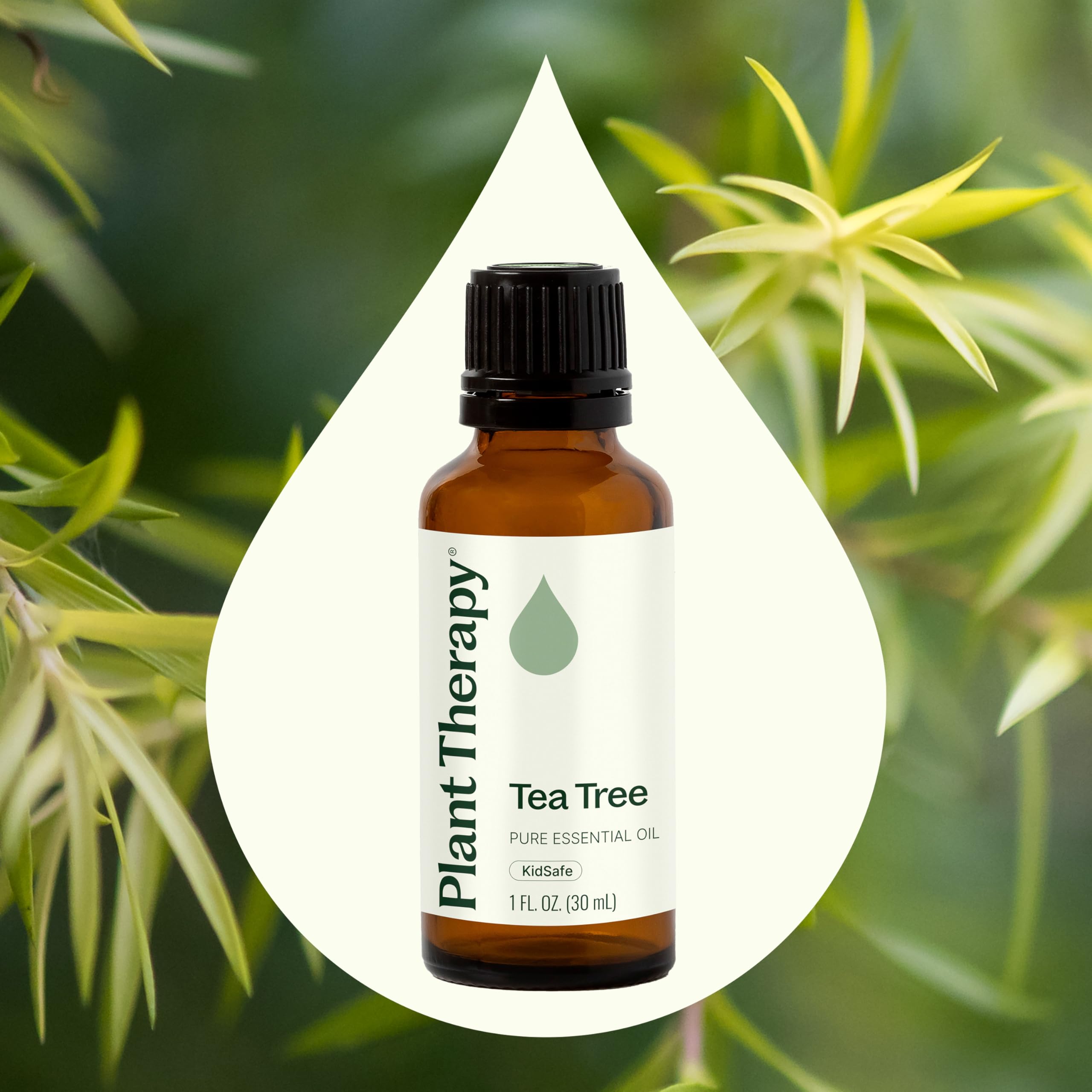 Plant Therapy Tea Tree Oil used topically with a cotton swab for application.