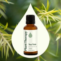 Plant Therapy Tea Tree Oil used topically with a cotton swab for application.