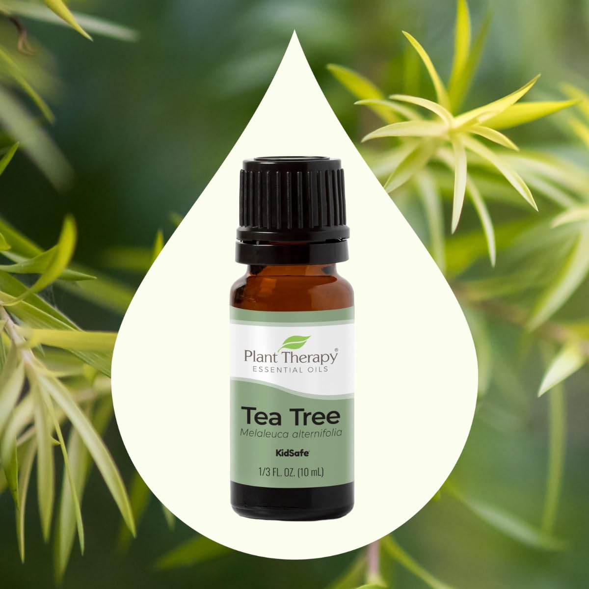 Plant Therapy Tea Tree Roll-On being applied to skin for blemish care.