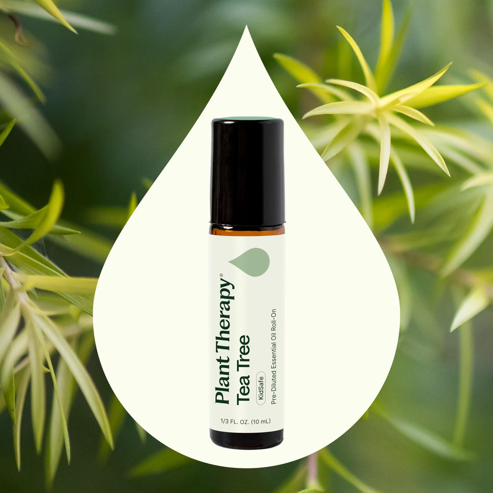 Plant Therapy Tea Tree Roll-On bottle label highlights purity and therapeutic-grade quality.