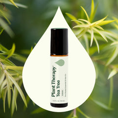 Plant Therapy Tea Tree Roll-On bottle label highlights purity and therapeutic-grade quality.