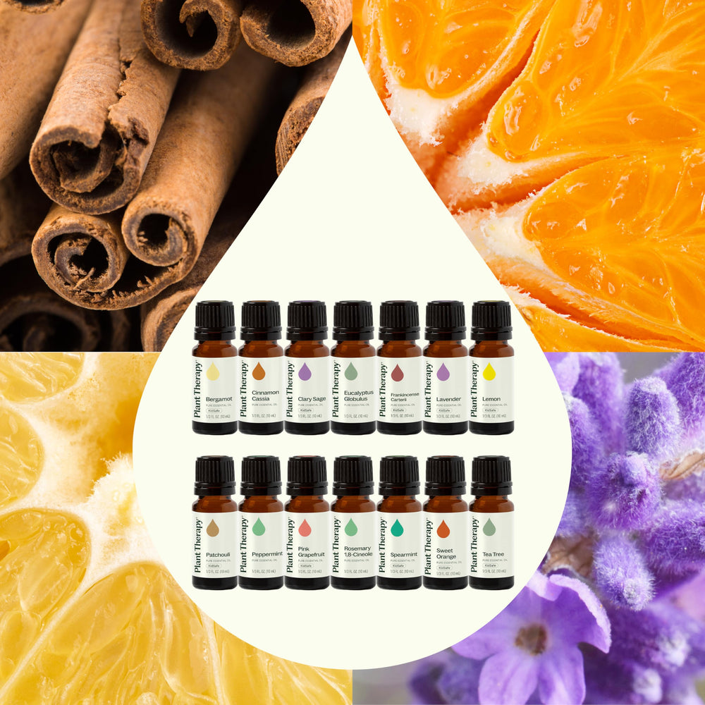 Plant Therapy Peppermint bottle for invigorating blends and focus