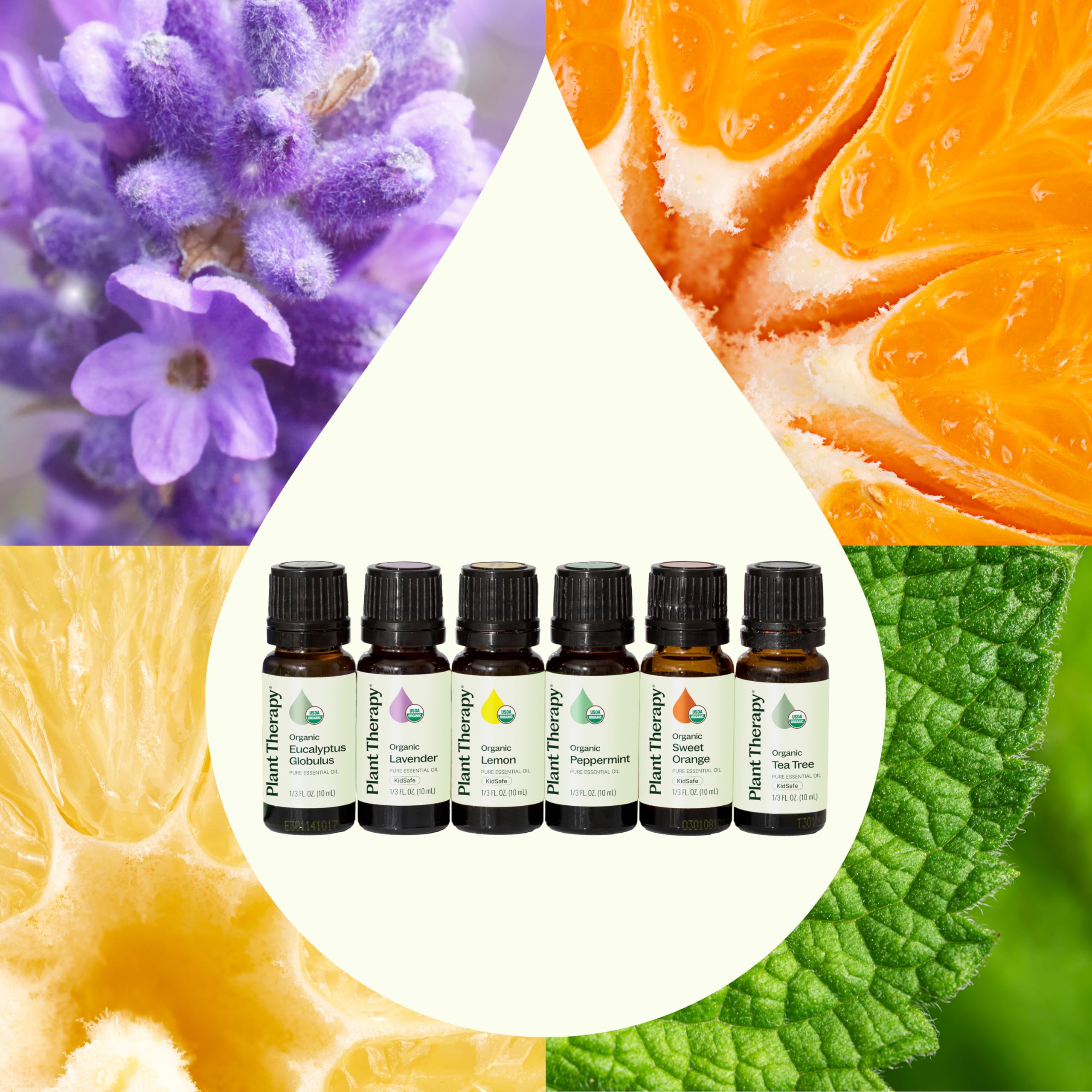Plant Therapy Lemon bottle for bright diffusions and clean room scent