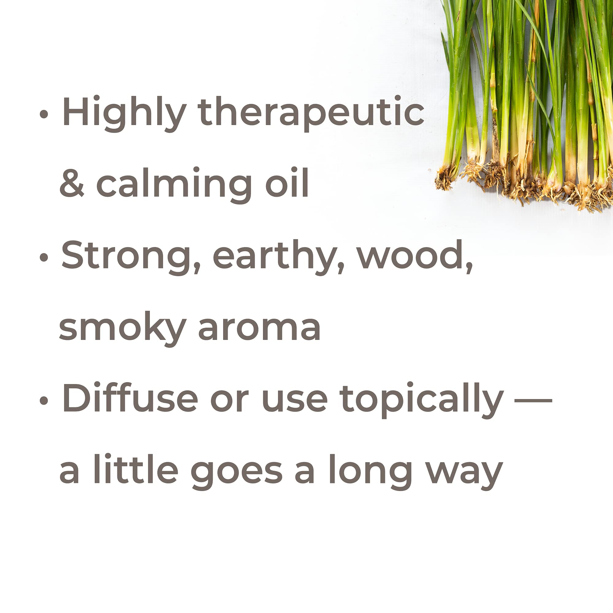 Plant Therapy Vetiver oil diffuser setup with earthy aroma for evenings.