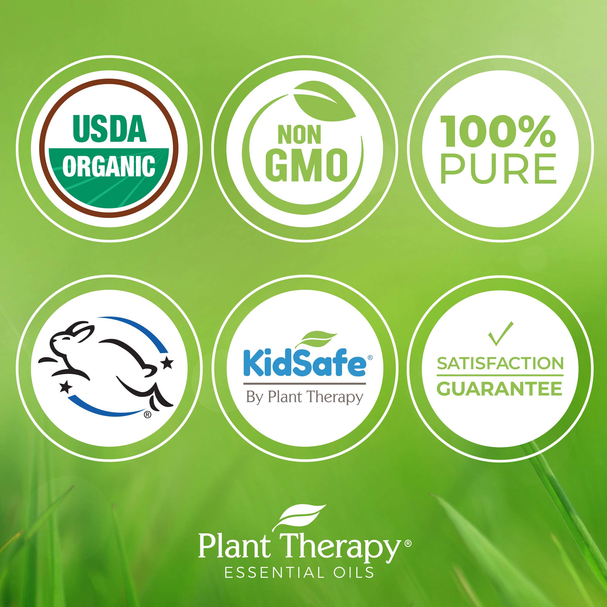 Plant Therapy Vetiver oil dropper closeup for precise skin-safe dilutions.