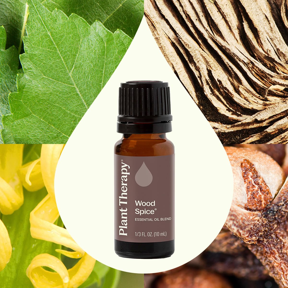 Plant Therapy Wood Spice diffuser scene, showcasing a calming home setup.