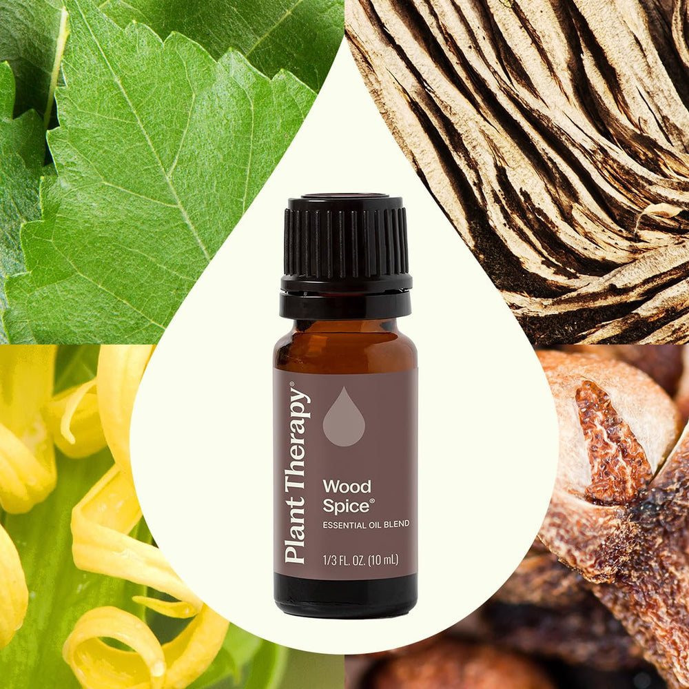 Plant Therapy Wood Spice diffuser scene, showcasing a calming home setup.
