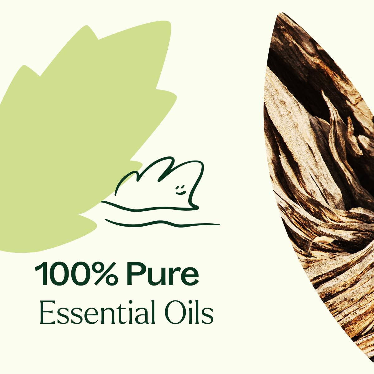 Plant Therapy Wood Spice Ho Wood, calm and mellow note for relaxation.