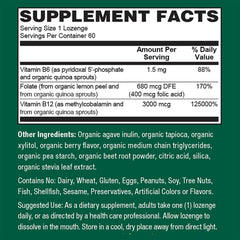 Closeup of PlantFusion lozenge shows smooth texture for quick sublingual absorption.