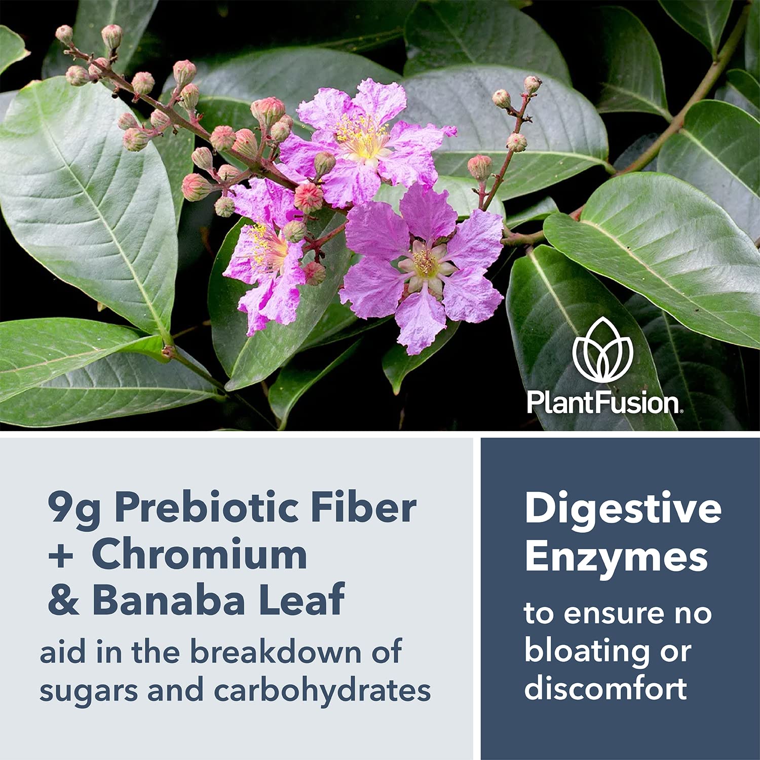 PlantFusion Complete Lean ingredients panel reveals superfoods and prebiotic fiber.