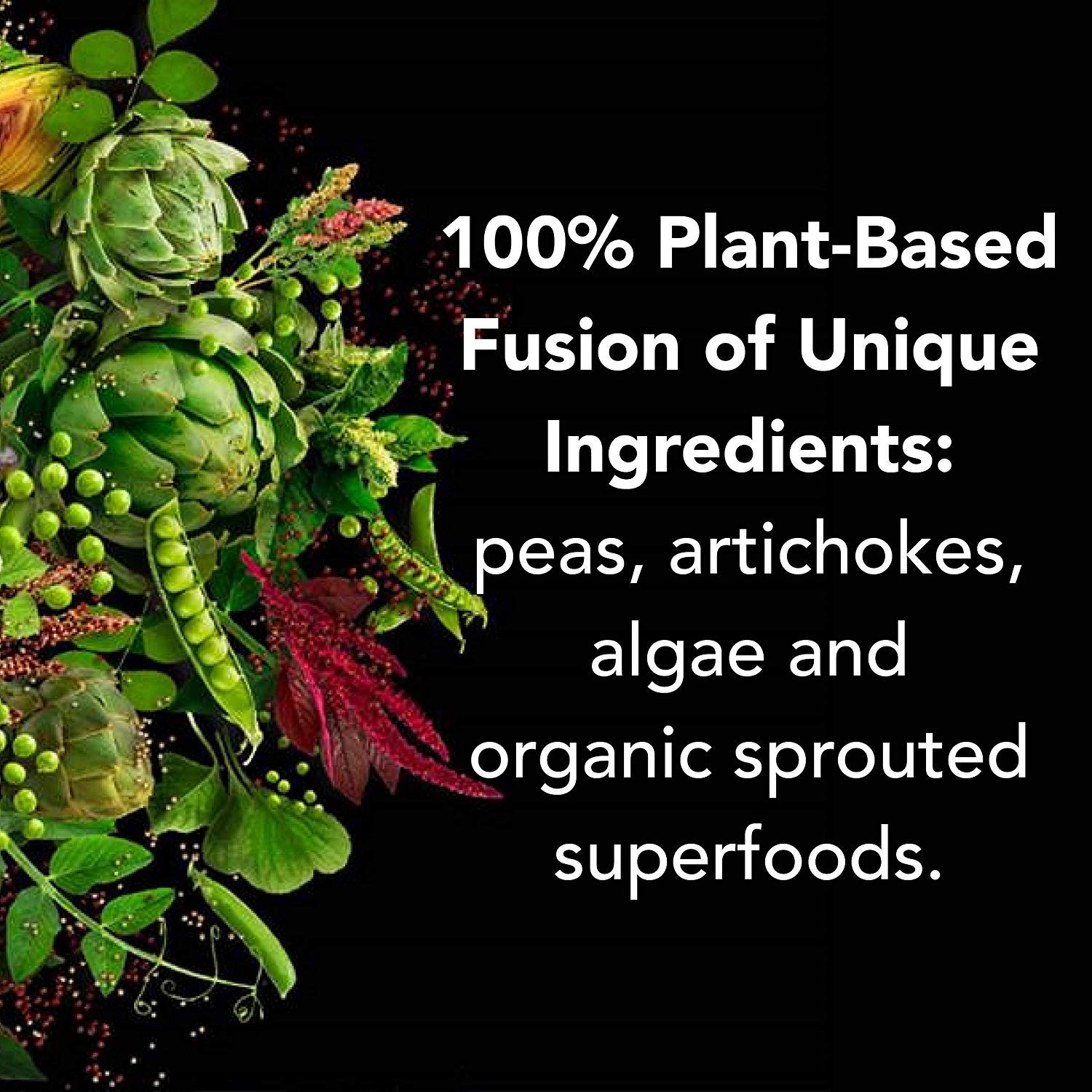 PlantFusion creamy texture in coffee and shakes with vanilla flavor.