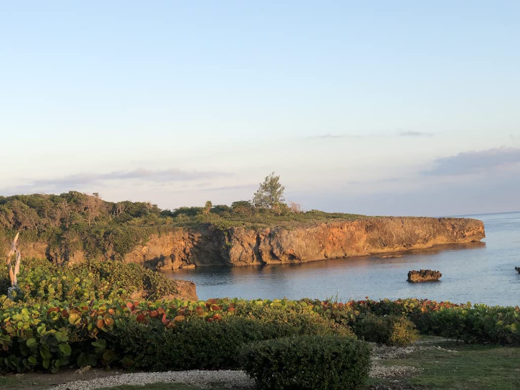 Lifestyle shot of Plantish by JM Jamaican Duck Flower Detox as part of daily wellness