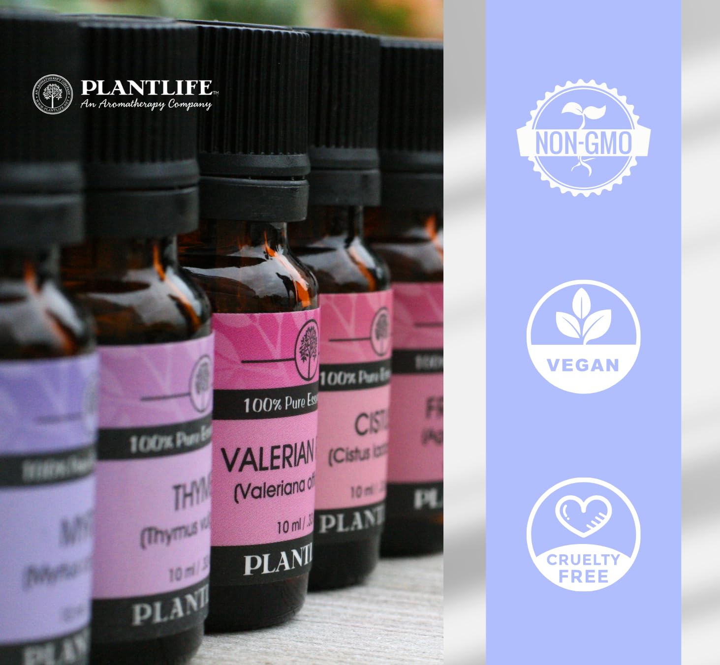 Plantlife Oakmoss essential oil diffuses a grounding scent in rooms.
