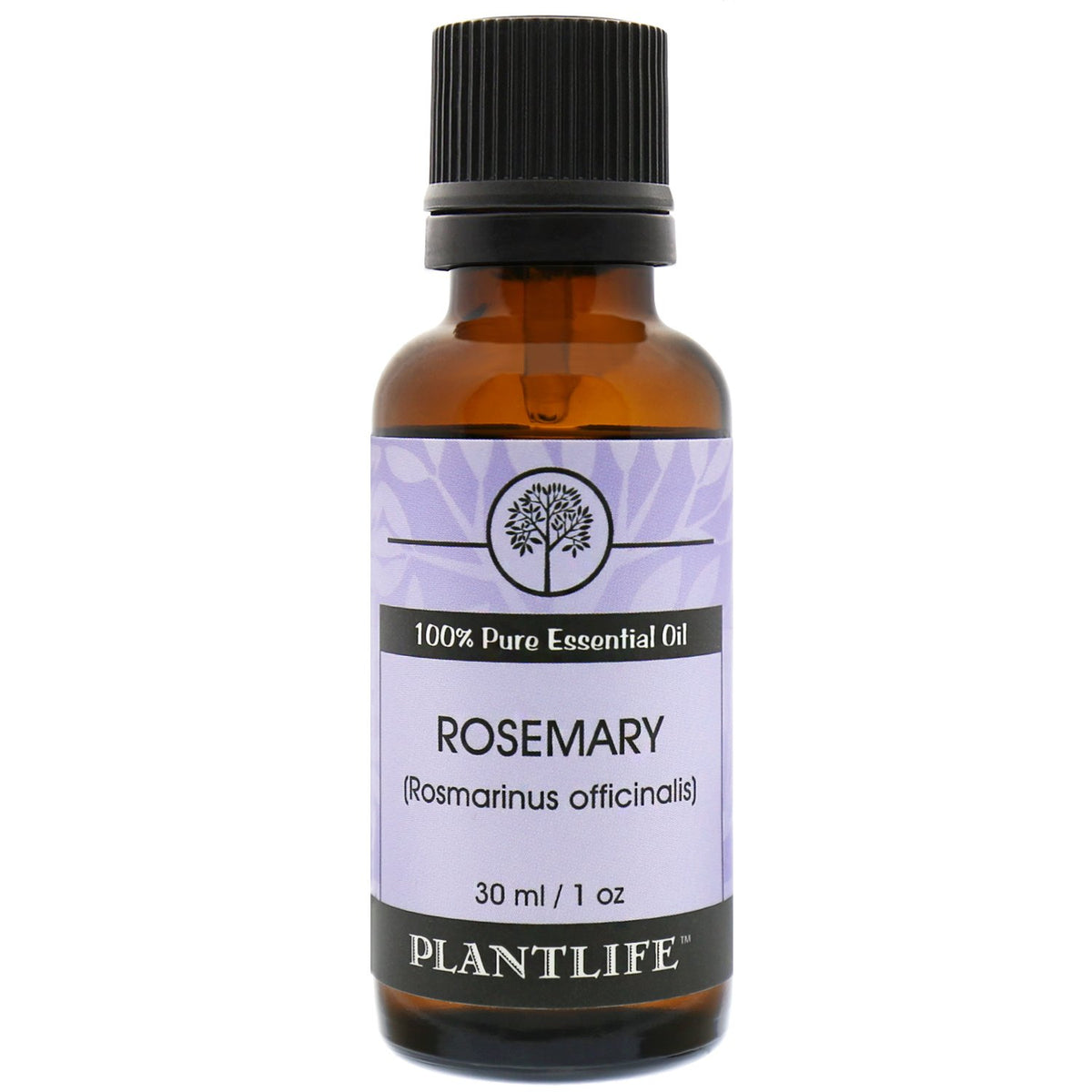 Plantlife Rosemary aromatherapy oil bottle enhances uplifting fragrance for any room.