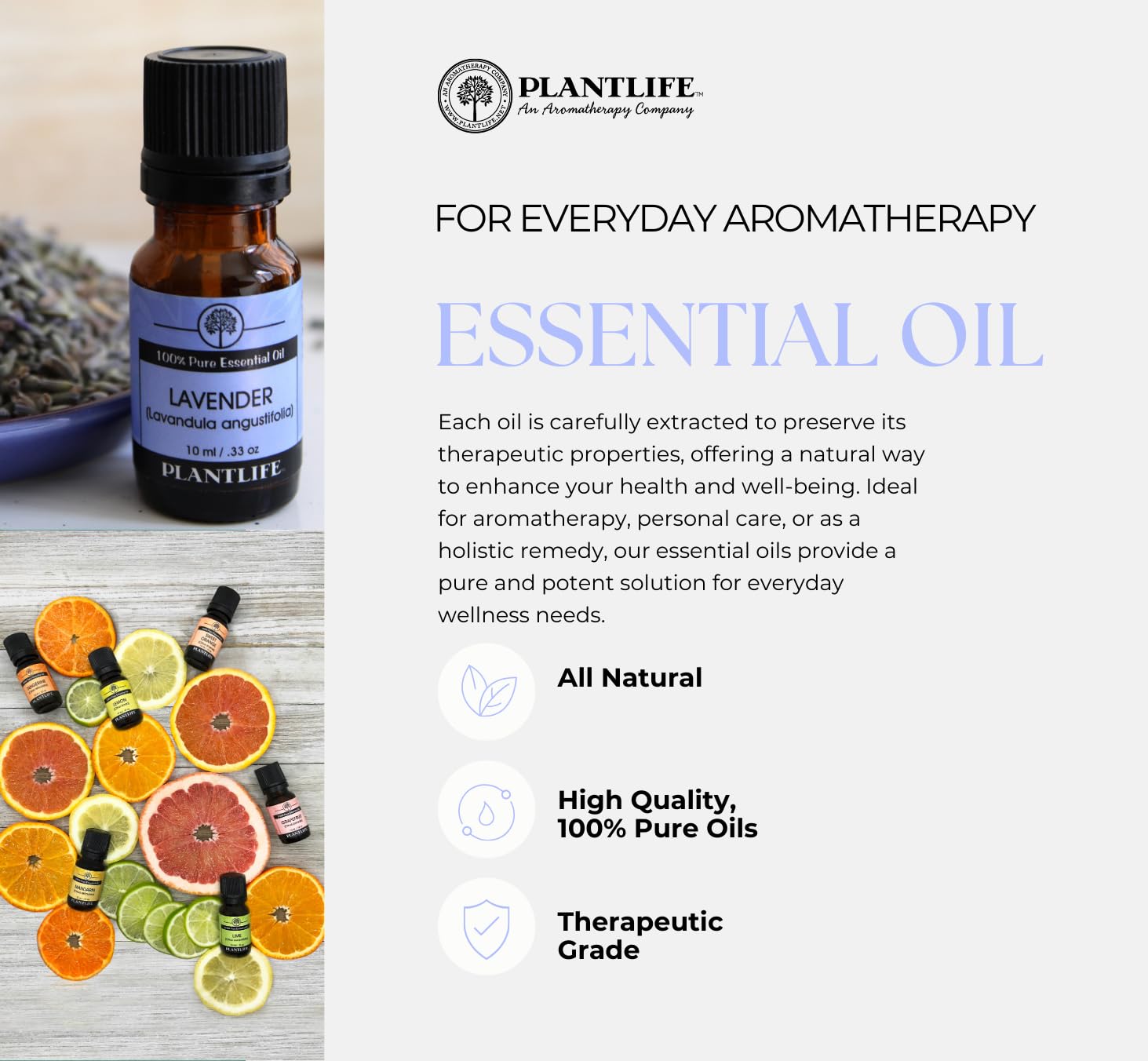 Plantlife rosemary oil diffuser aroma fills spaces with herbaceous, refreshing notes.