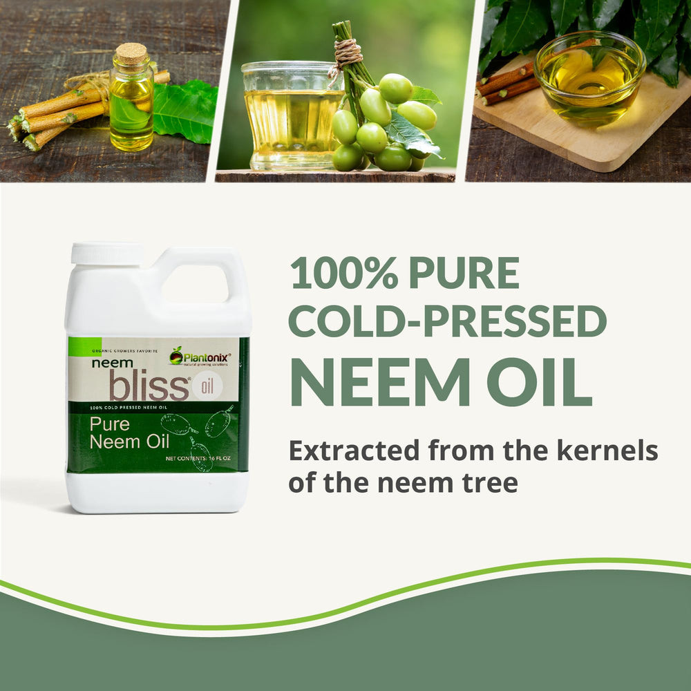 Plantonix Neem Bliss bottle in use, applying oil for topical care.