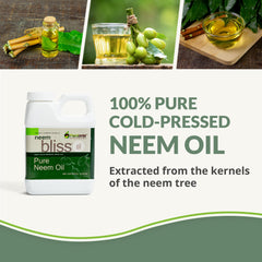 Plantonix Neem Bliss bottle in use, applying oil for topical care.