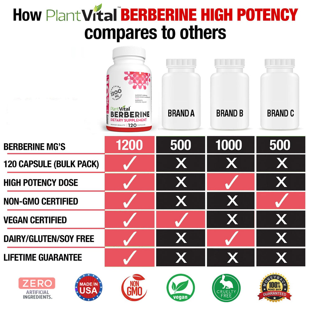 PlantVital Berberine 1200mg label close-up shows trusted USA manufacturing origin.
