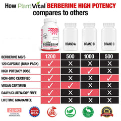 PlantVital Berberine 1200mg label close-up shows trusted USA manufacturing origin.