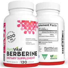 PlantVital Berberine non-GMO capsules on countertop highlight purity and plant-based formulation.