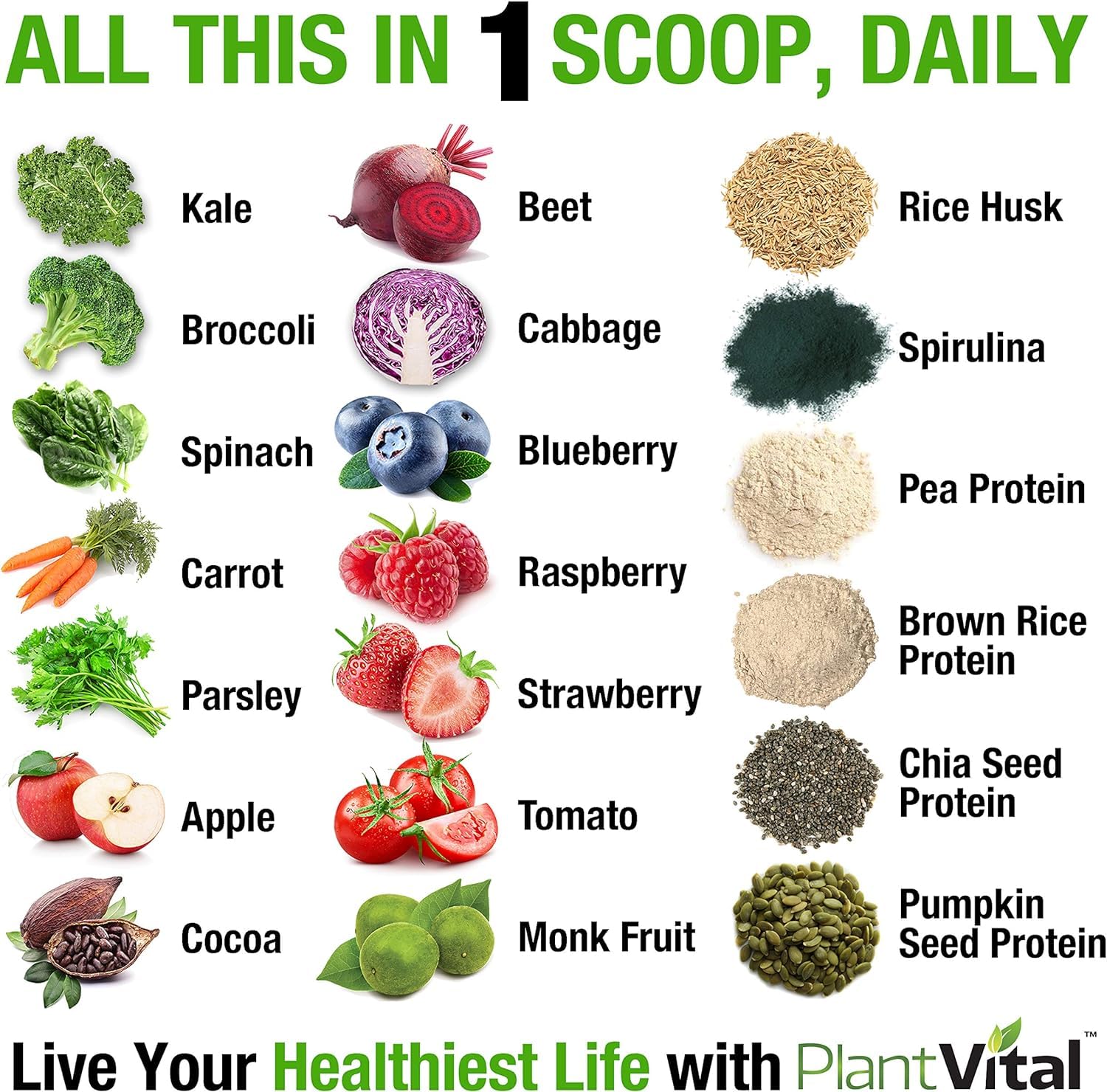 PlantVital ingredients kale, beets, spirulina highlight nutrient-dense profile.