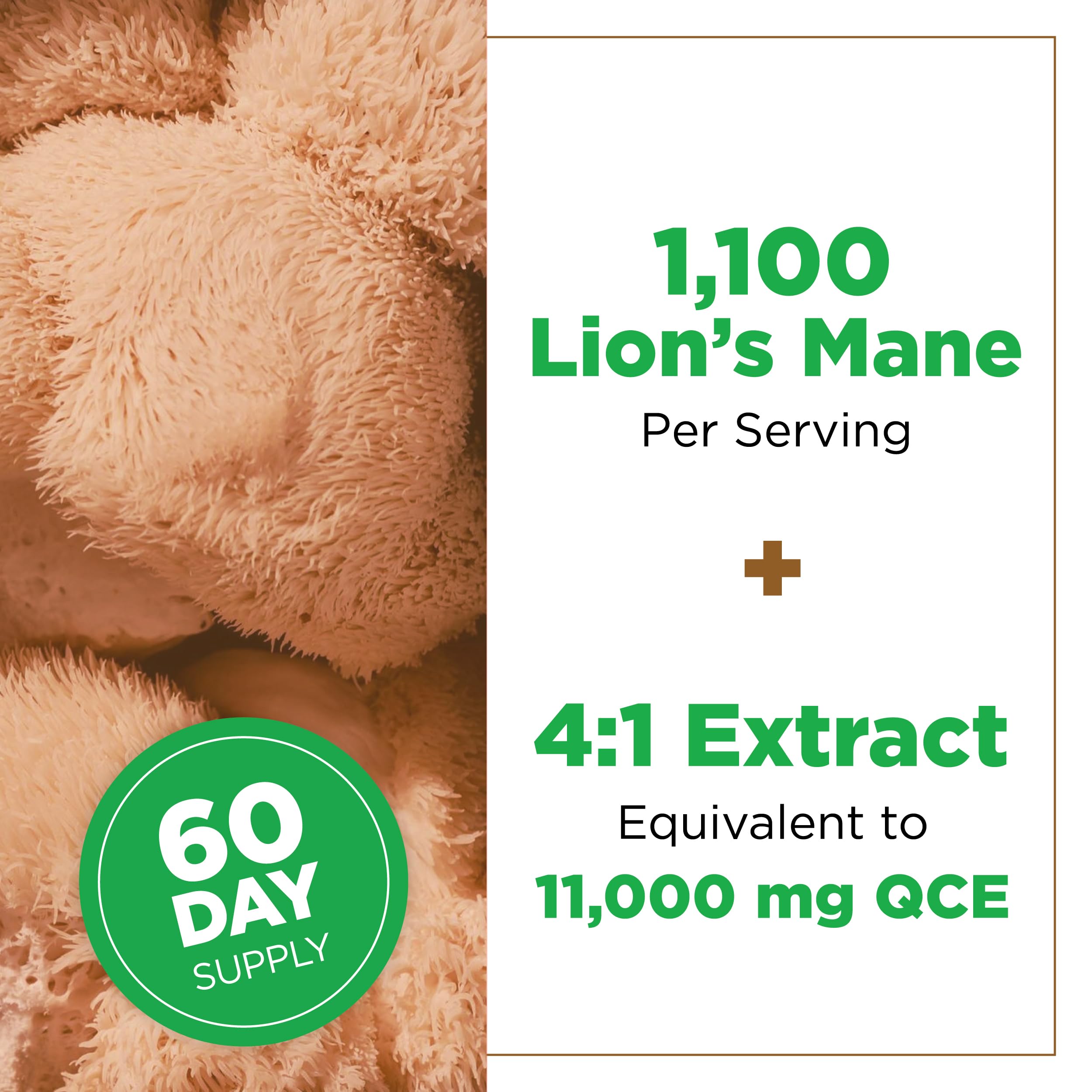 Plantvital Lions Mane science-inspired visuals suggest memory and immune support.