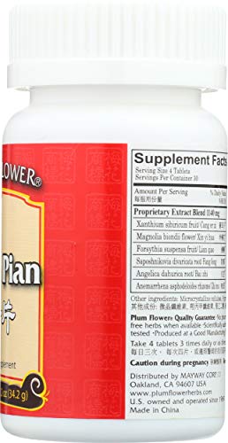 Plum Flower Bi Yan Pian tablets being dispensed for easy use