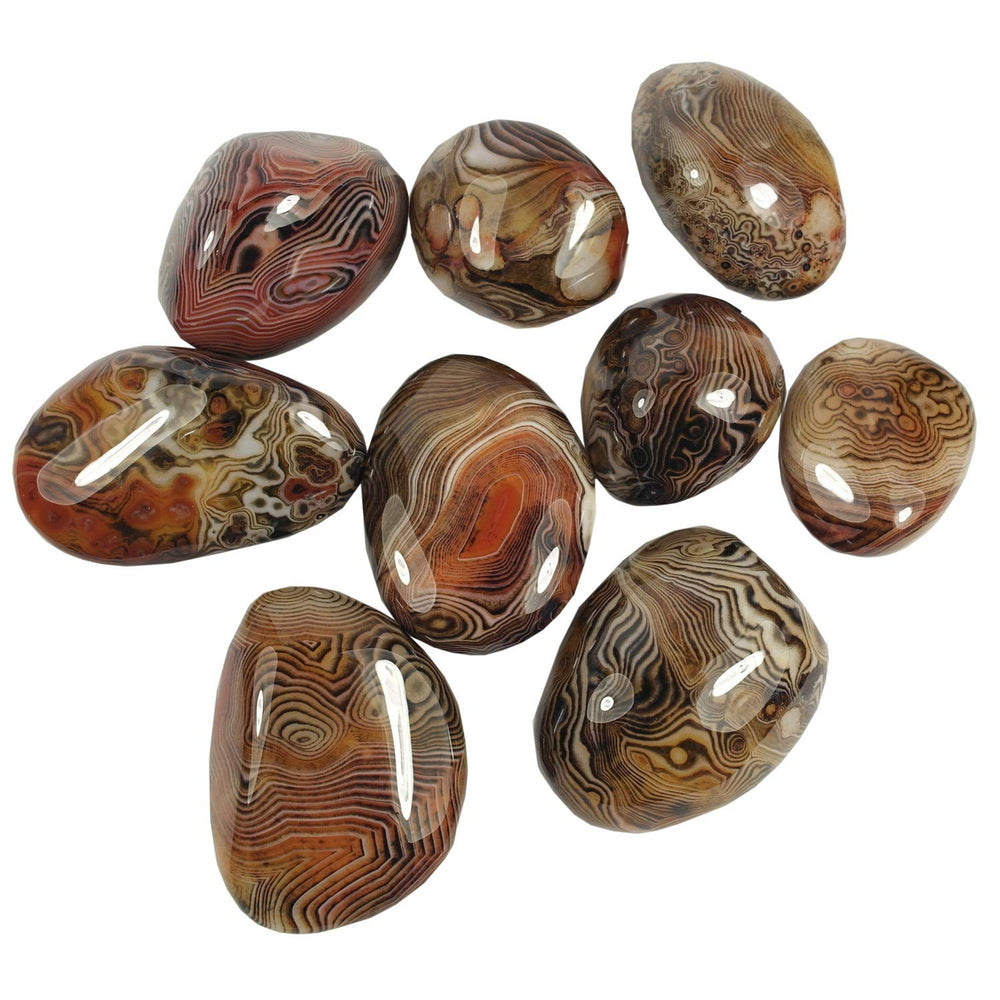 Pounique Banded Lace Agate stones in a group for decor and focus