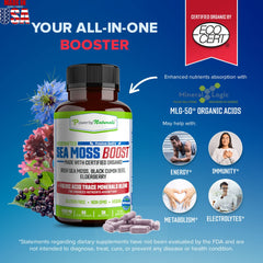 Power By Naturals Sea Moss Advanced bottle label details certified organic ingredients