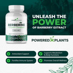 Powered X Plants berberine capsules supporting metabolic balance and immune resilience.